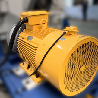 大型單軸撕碎機(jī)電機(jī)